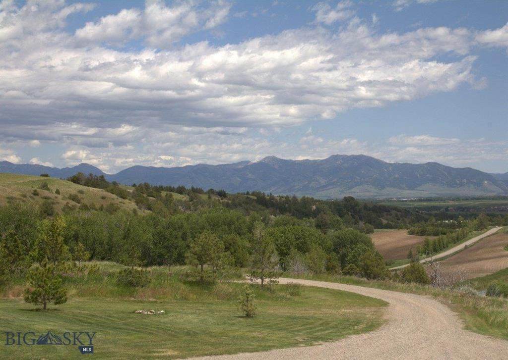 239A & 239B Sunrise Ridge Trail - Photo 1