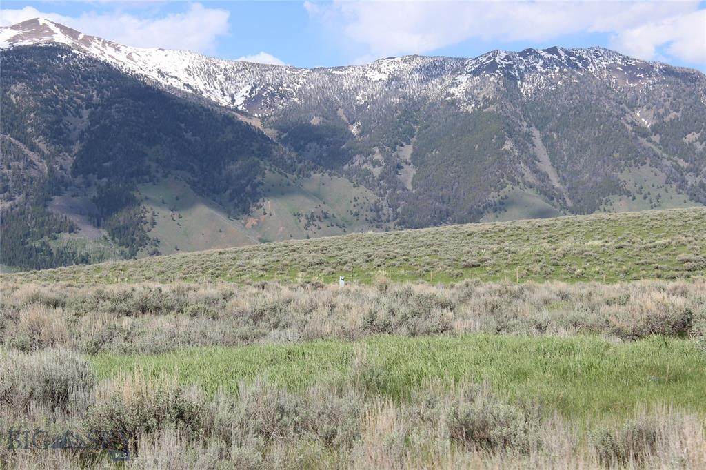 Lot 51 Madison River Ranches - Photo 1