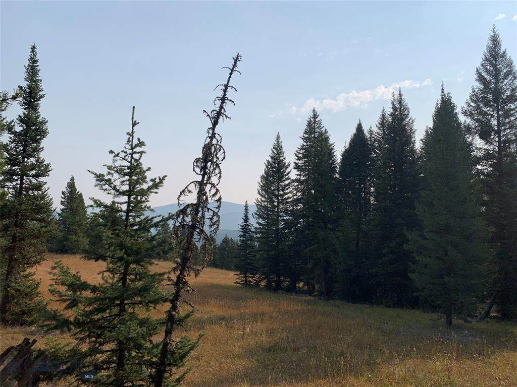 Lot 83 Elk Valley Rd - Photo 1