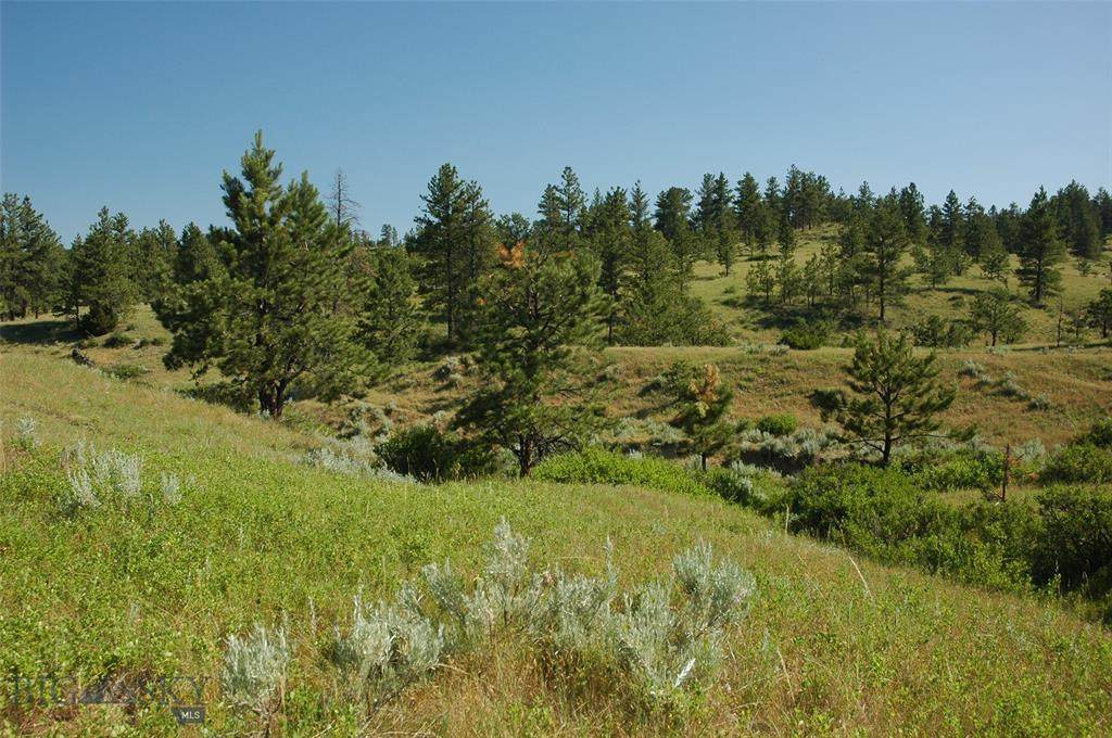 NHN Rock Canyon Lane - Photo 1