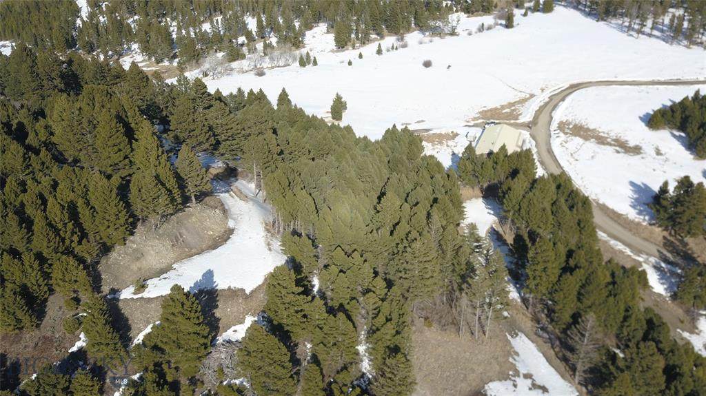 Parcel 3516 Crazy Mountain Peak - Photo 1