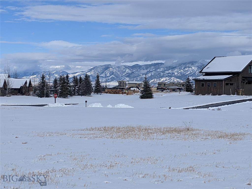 Lot 12 Charger Lane - Photo 1