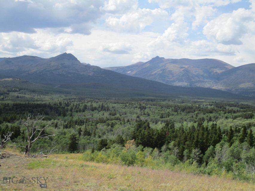 NHN Glacier Avenue - Photo 1