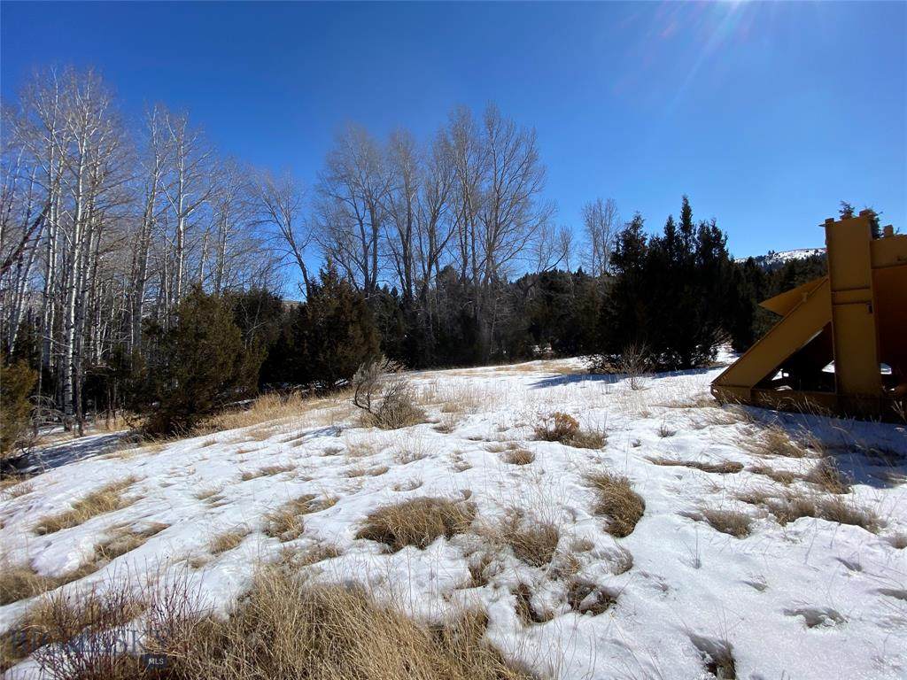 TBD Prospect Mine Road - Photo 1