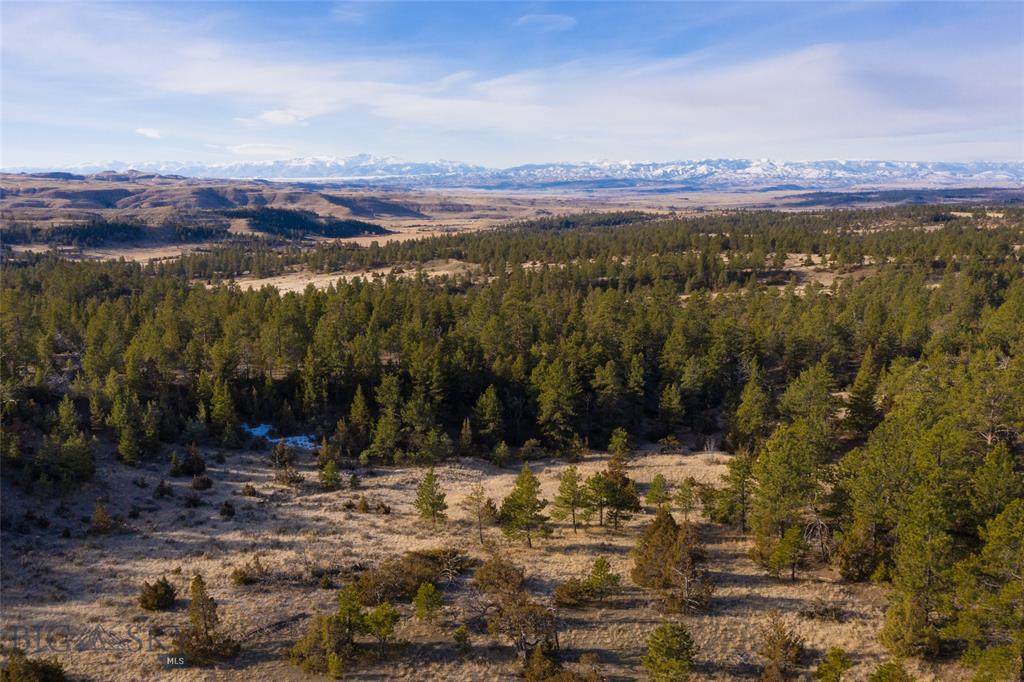 TBD Lower Sweet Grass Road - Photo 1