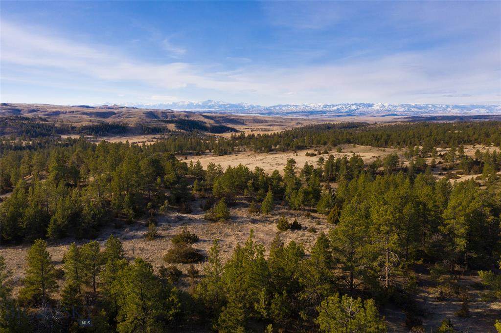 TBD Lower Sweet Grass Road - Photo 1