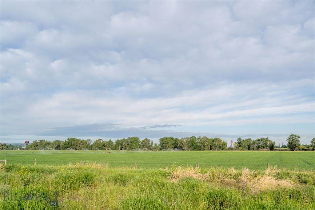 LOT 128 Tillyfour Rd - Photo 1