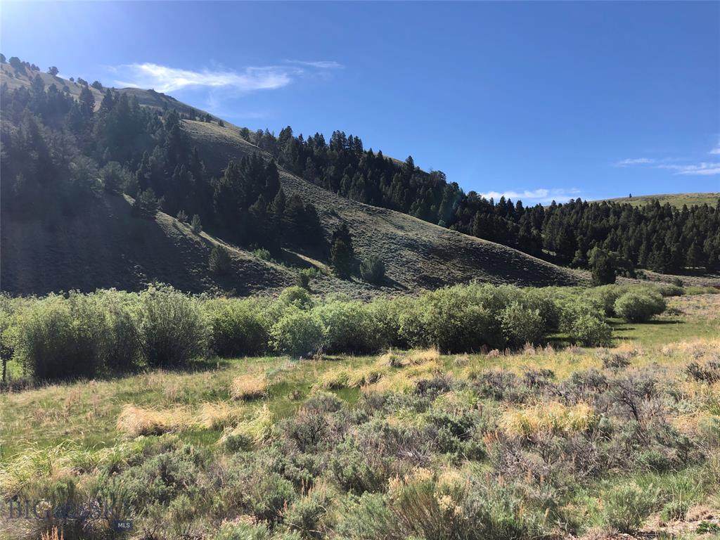 Tract 6 Fork Little Sheep Creek Road - Photo 1