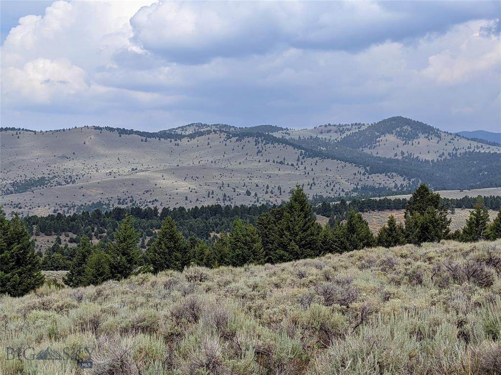 TBD Biven Creek Ridge Rd 260 Acres - Photo 1