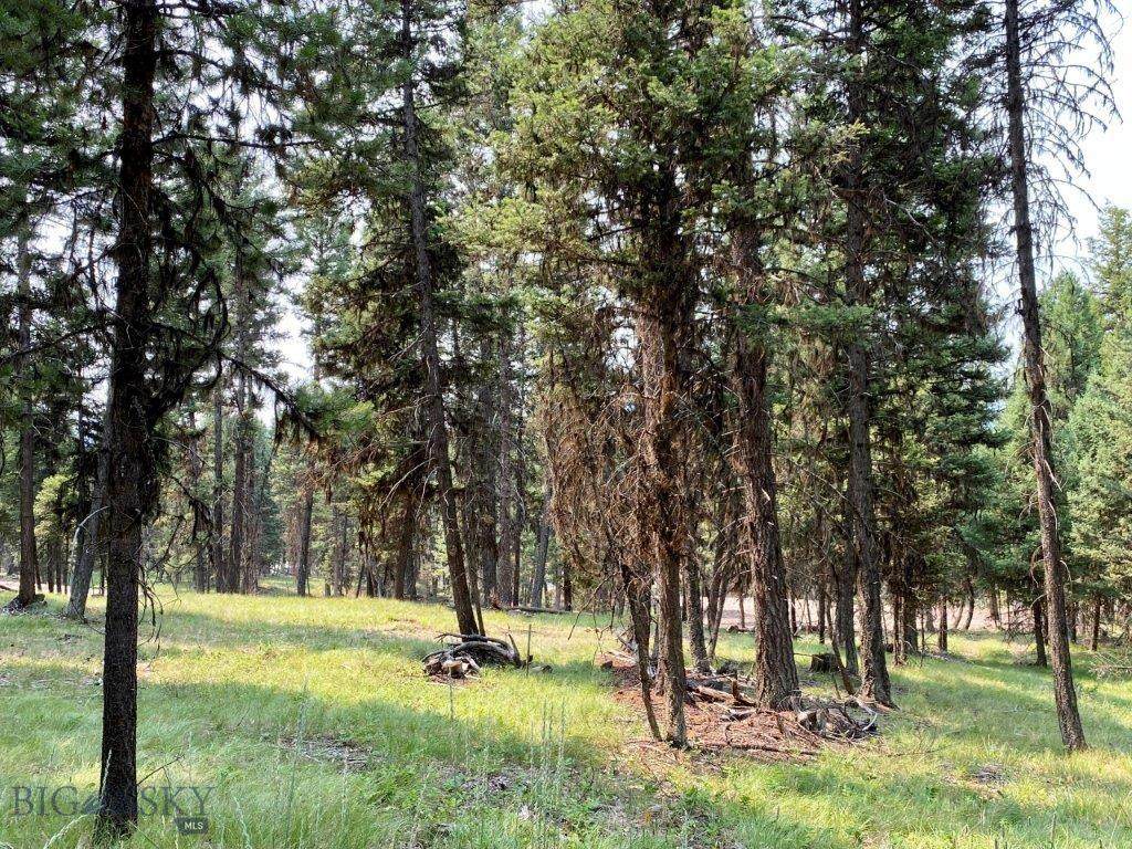 289 Seclusion Point - Photo 1