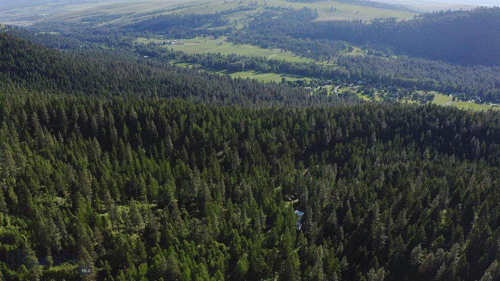 350 Colorado Gulch - Photo 1