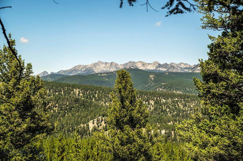 Lot 58 Sweetroot Fork - Photo 1