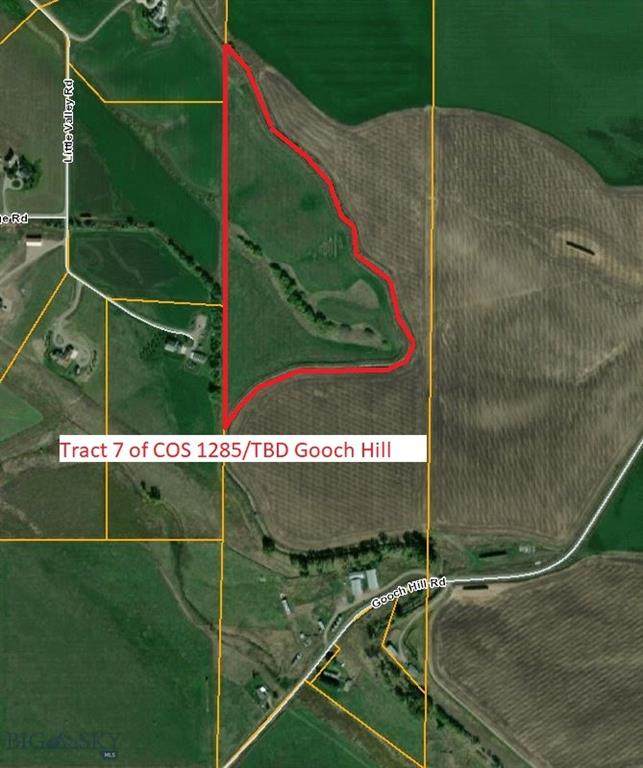 TBD Gooch Hill Road - Photo 1