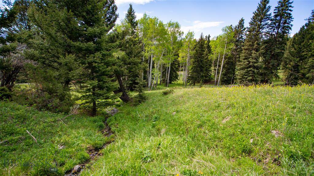 53.42 acres Pessl Appaloosa - Photo 1