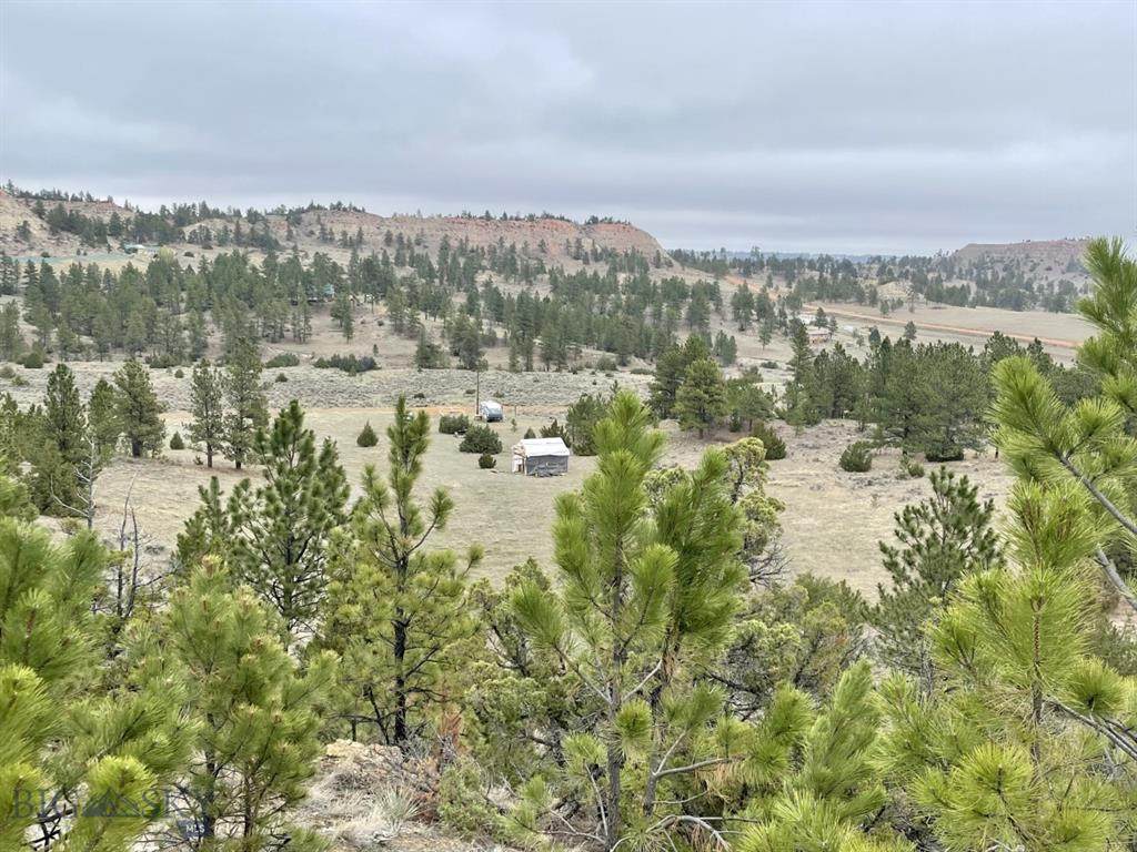 NHN Welch - Photo 1