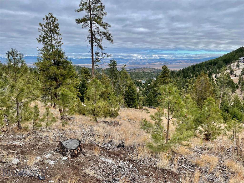 TBD Martinez Gulch Road Lot 19-D - Photo 1