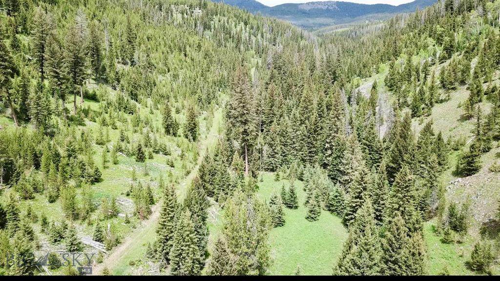 00 North Fork Eagle Creek - Photo 1