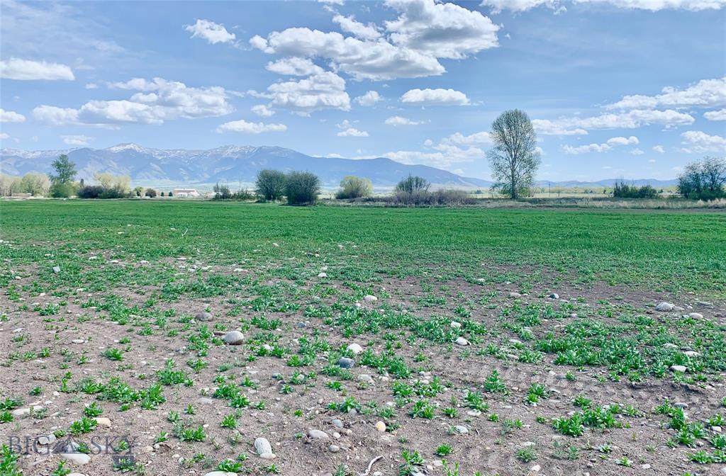 Lot 5 Riparian Way - Photo 1