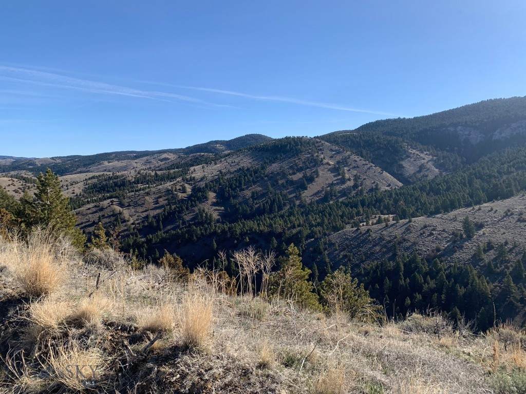 TBD Skyline Road - Photo 1
