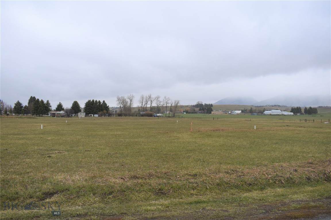tbd Springhill Lane - Photo 1