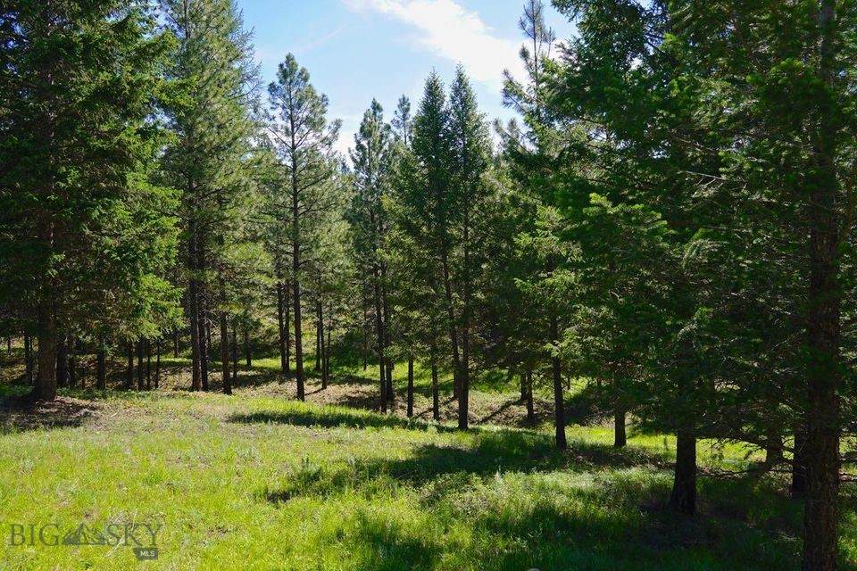 752 Tripp Trail - Photo 1