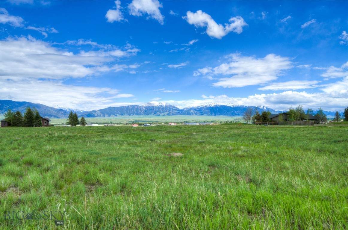 Lot 25 Mallards Roost Rd - Photo 1