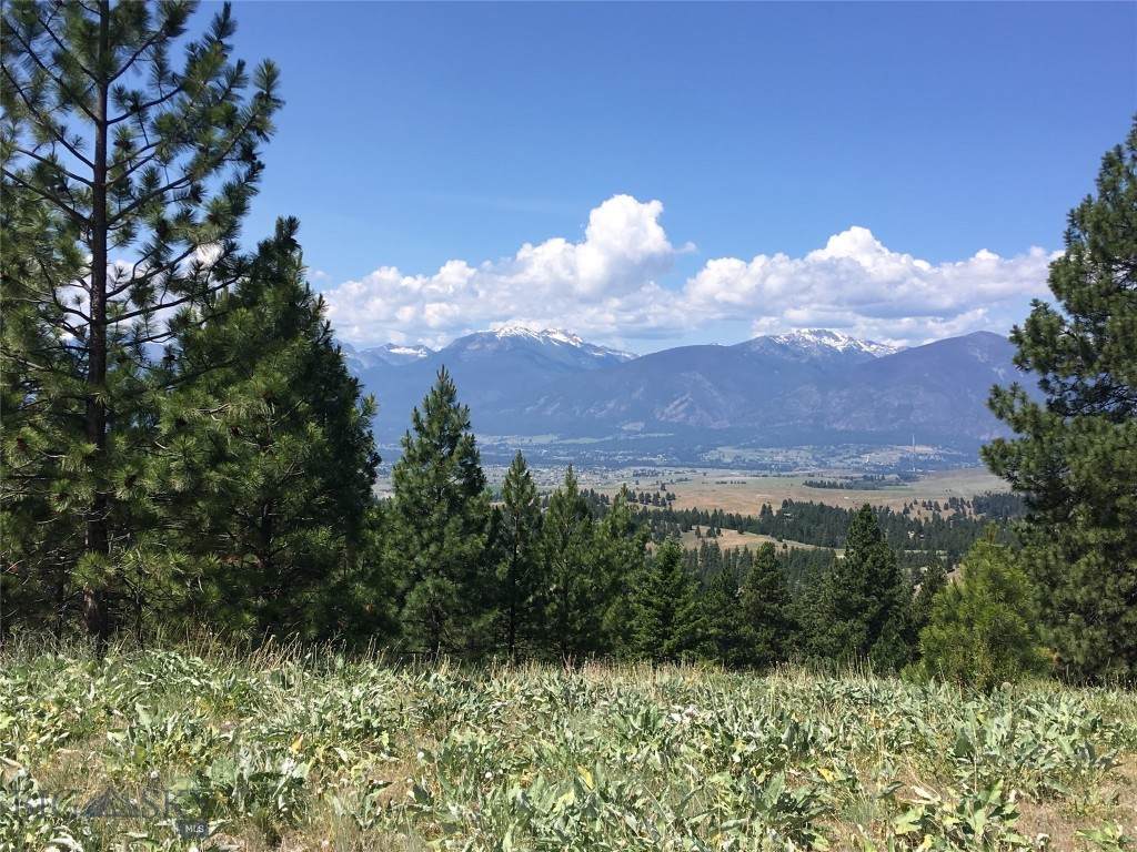 Bitterroot Overlook On Eight Mile Creek - Photo 1