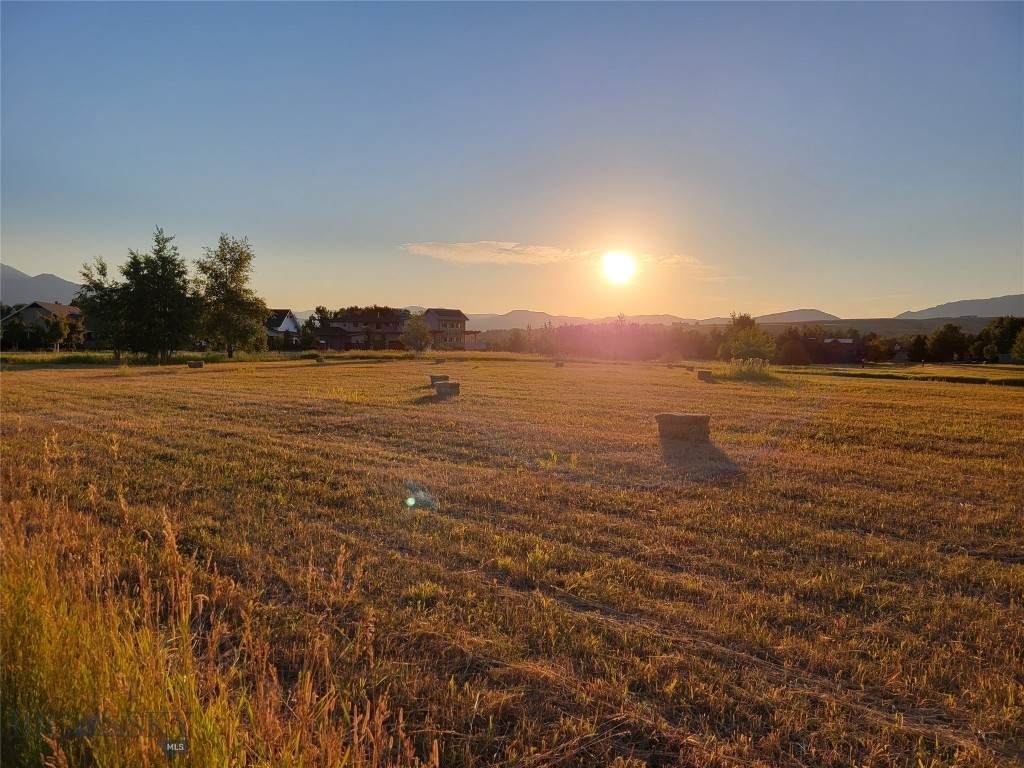 TBD 3rd - Photo 1
