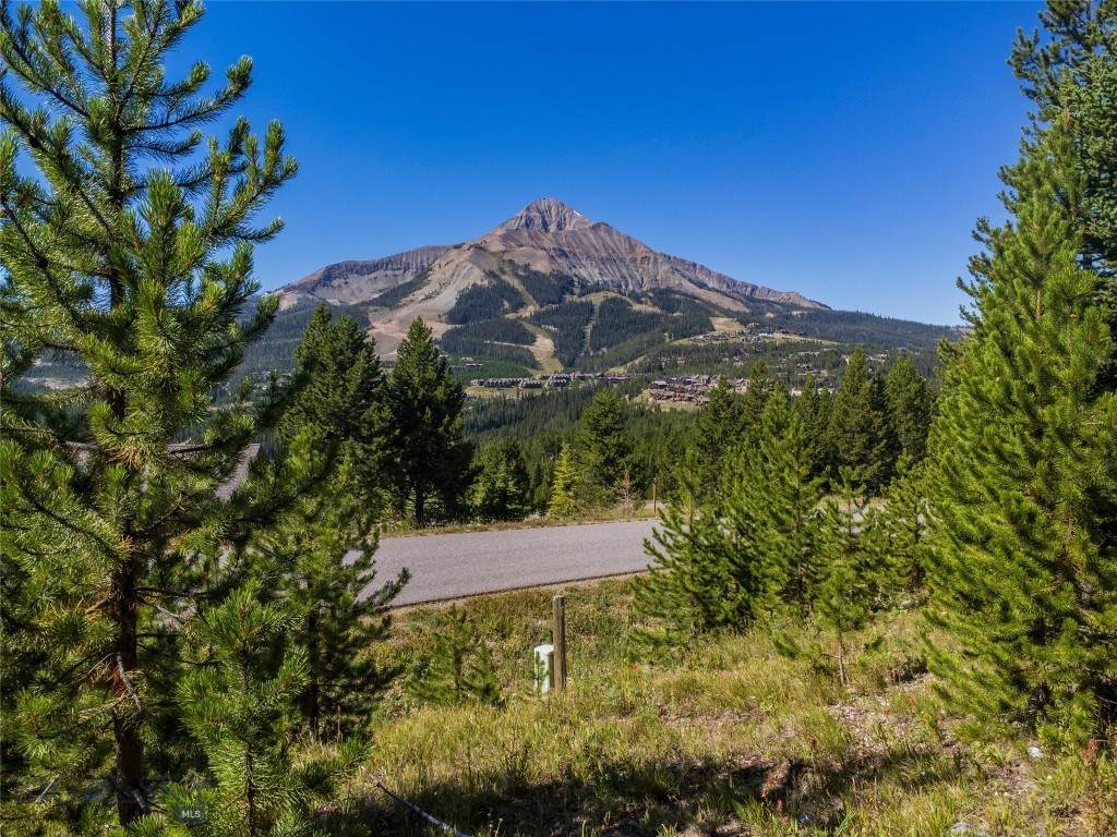 Lot 136A Beehive Basin Road - Photo 1