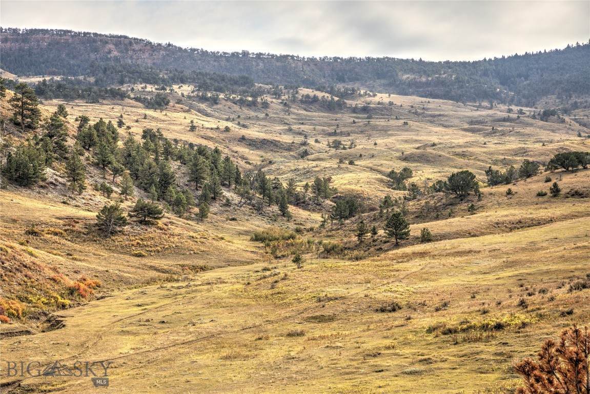 NHN South Fork Road - Photo 1