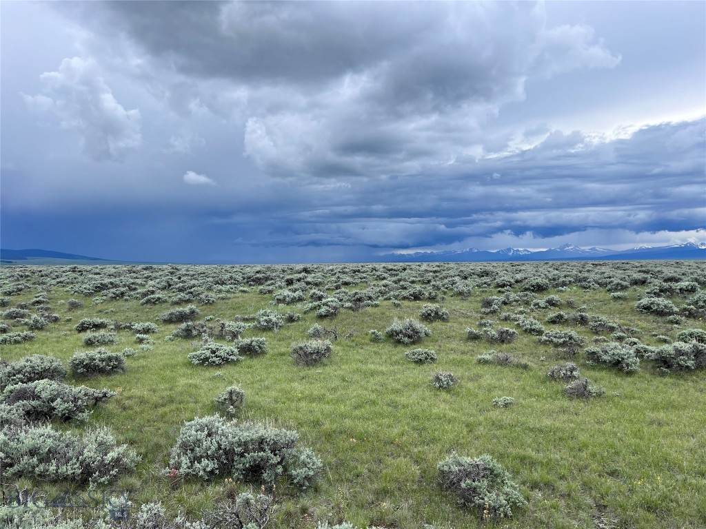 https://bt-photos.global.ssl.fastly.net/montana/orig_boomver_1_383612-2.jpg