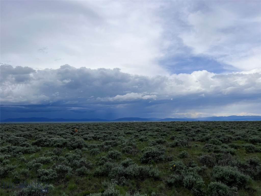 https://bt-photos.global.ssl.fastly.net/montana/orig_boomver_1_383615-2.jpg