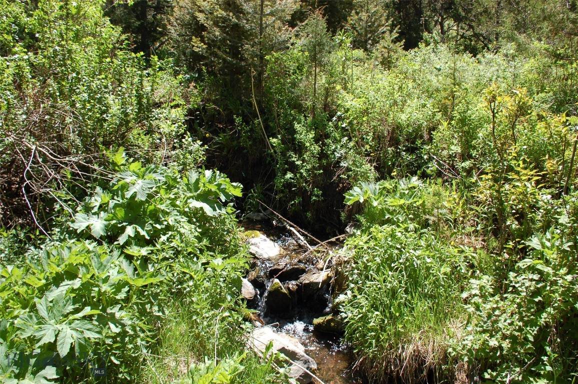 Block 209 Virginia City Original Townsite - Photo 1
