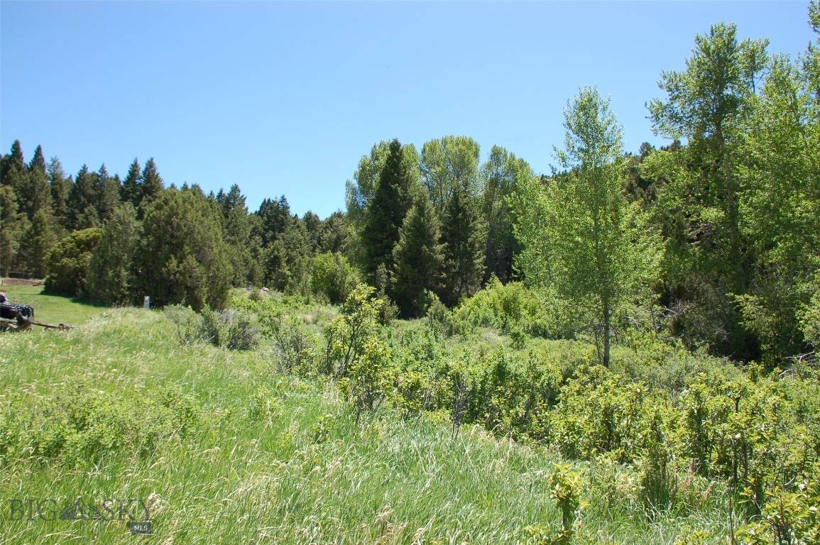 https://bt-photos.global.ssl.fastly.net/montana/orig_boomver_1_383866-2.jpg
