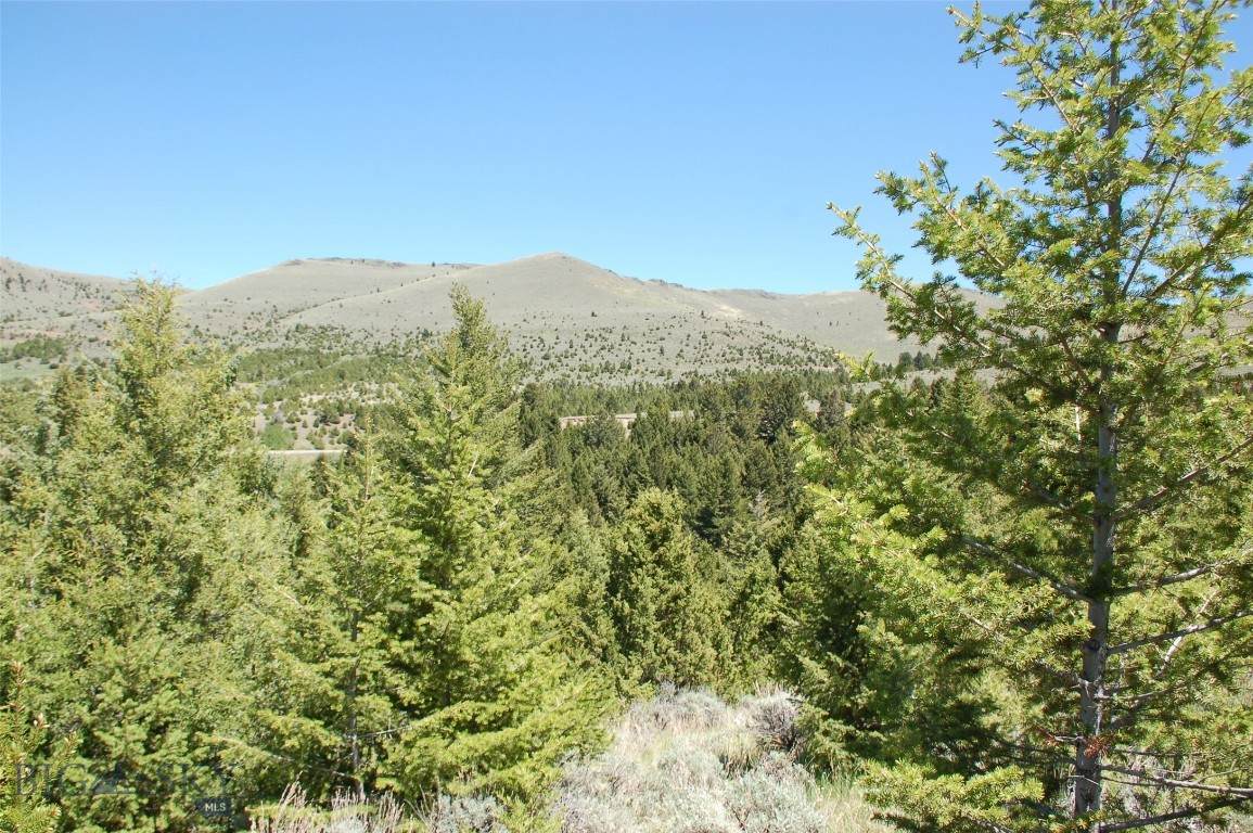 Block 262 Virginia City Original Townsite - Photo 1