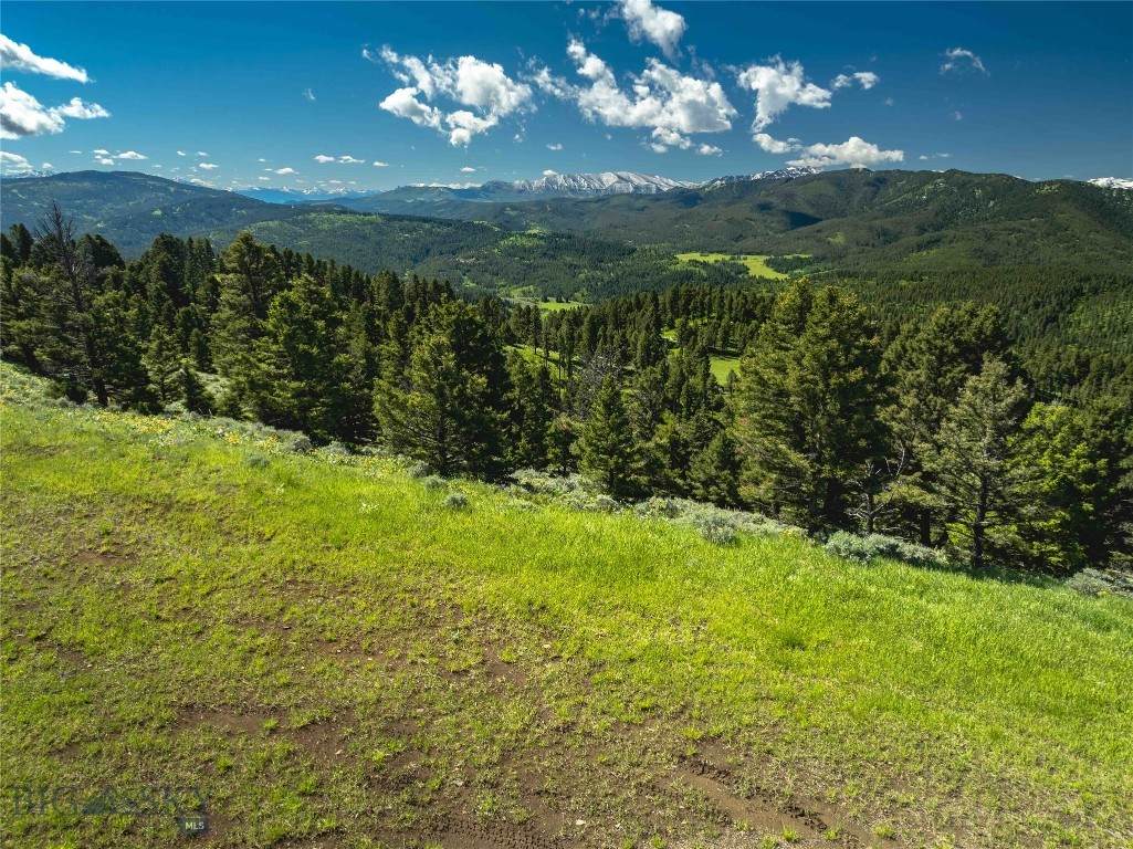 https://bt-photos.global.ssl.fastly.net/montana/orig_boomver_2_395400-2.jpg