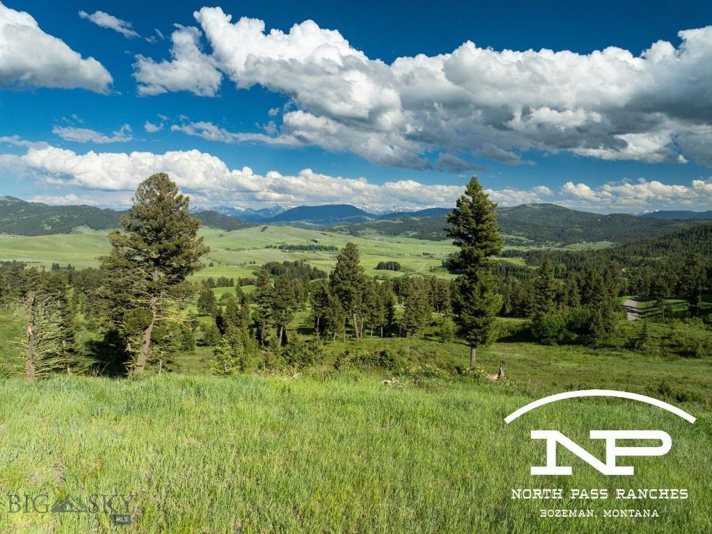 Ranch 11 North Pass Ranches - Photo 1