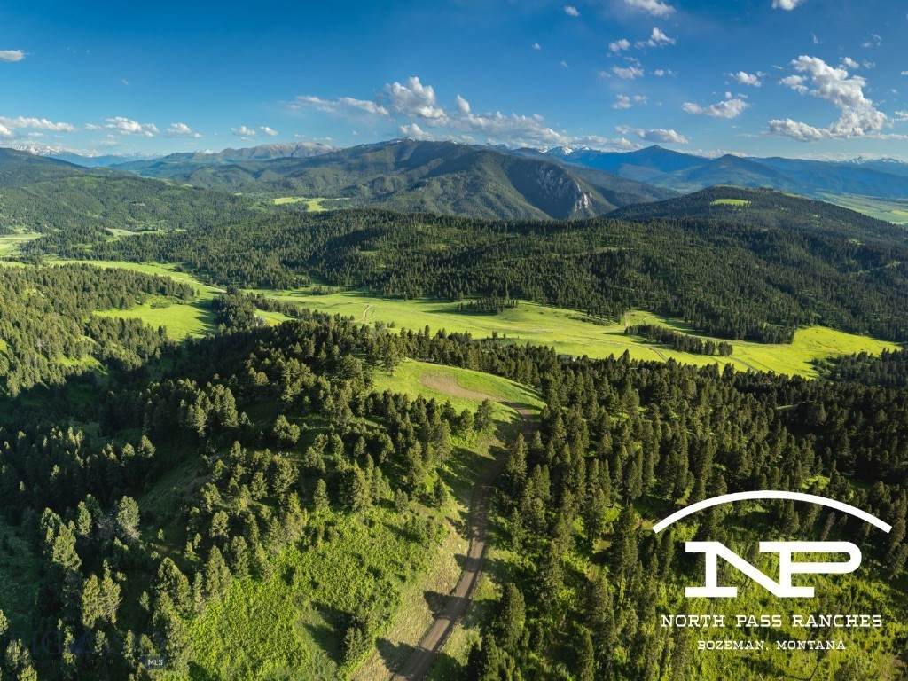 Ranch 3 North Pass Ranches - Photo 1