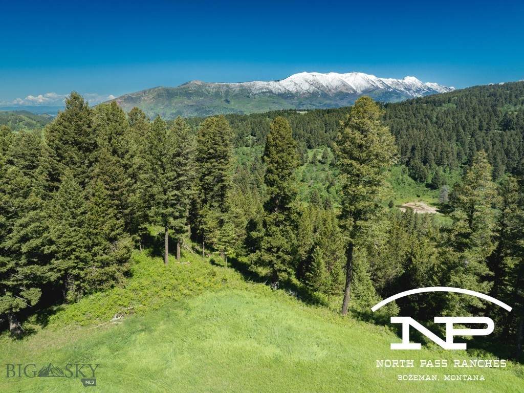 Ranch 5 North Pass Ranches - Photo 1