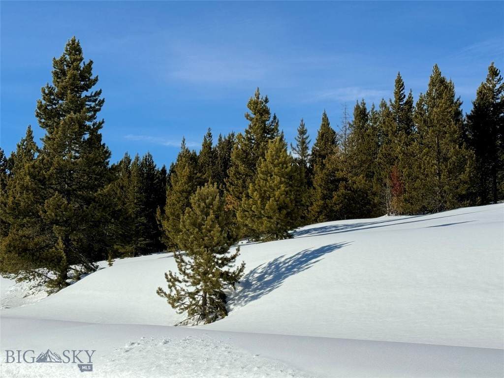 https://bt-photos.global.ssl.fastly.net/montana/orig_boomver_1_399792-2.jpg