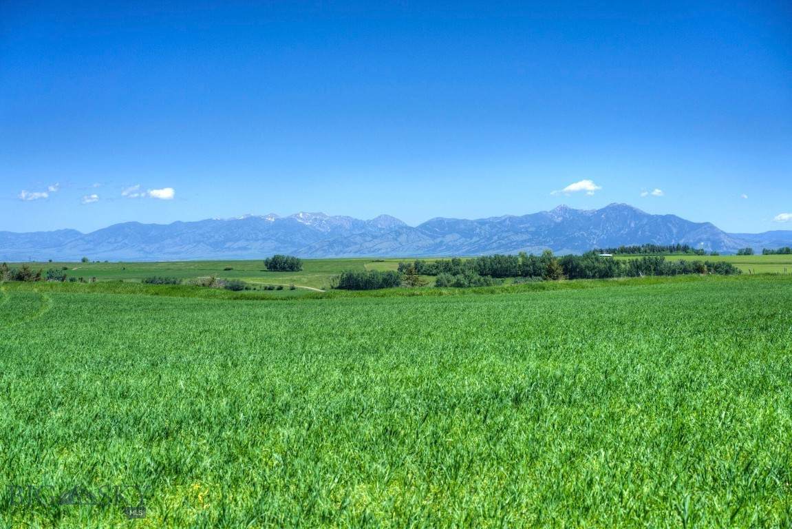 https://bt-photos.global.ssl.fastly.net/montana/orig_boomver_1_401887-2.jpg