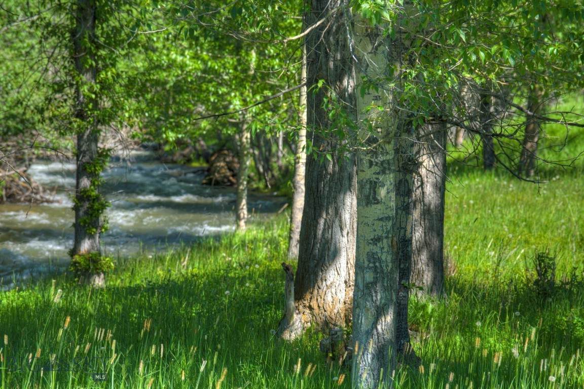 https://bt-photos.global.ssl.fastly.net/montana/orig_boomver_1_402002-2.jpg