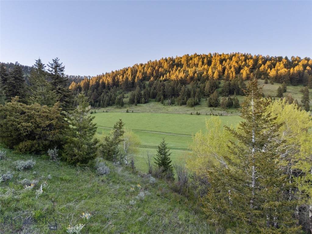 https://bt-photos.global.ssl.fastly.net/montana/orig_boomver_1_402281-2.jpg