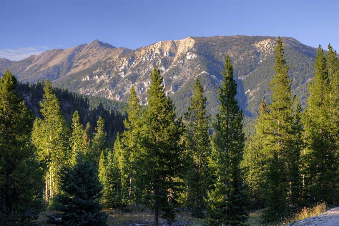 https://bt-photos.global.ssl.fastly.net/montana/orig_boomver_1_402900-2.jpg