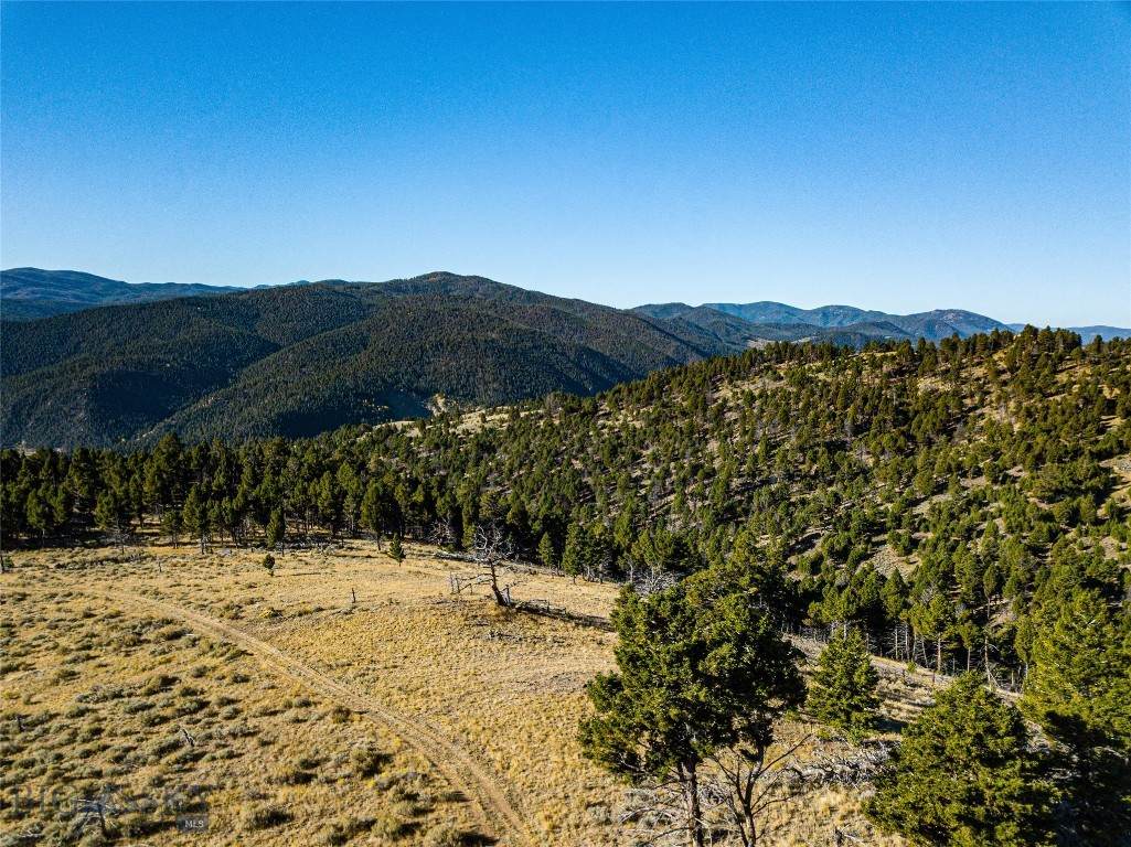 TBD (40.1 +/- Ac) High Ore Road - Photo 1