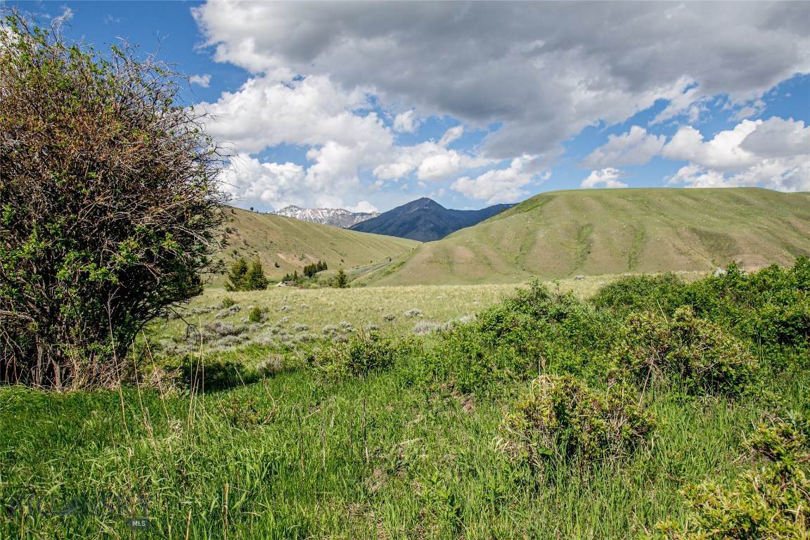 https://bt-photos.global.ssl.fastly.net/montana/orig_boomver_1_403580-2.jpg
