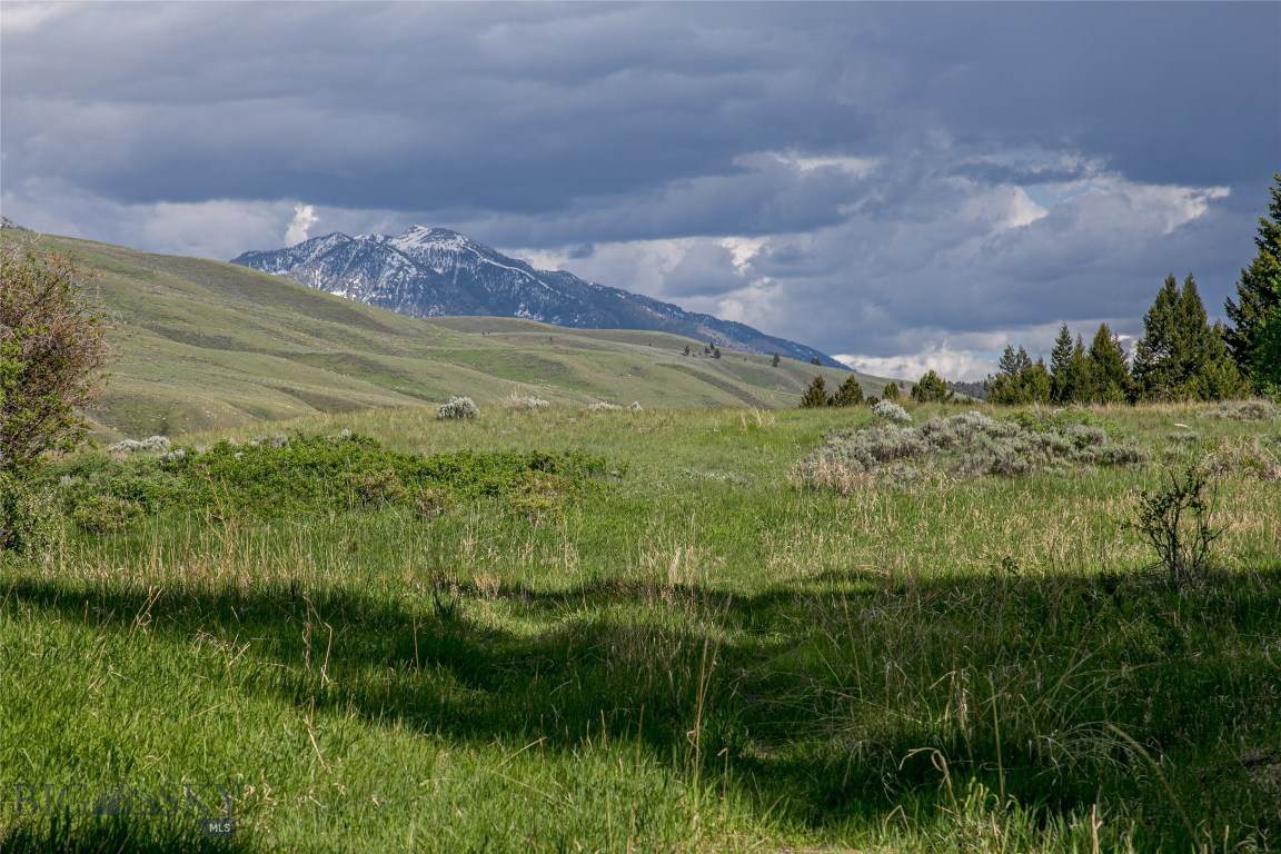 https://bt-photos.global.ssl.fastly.net/montana/orig_boomver_1_403580-2.jpg