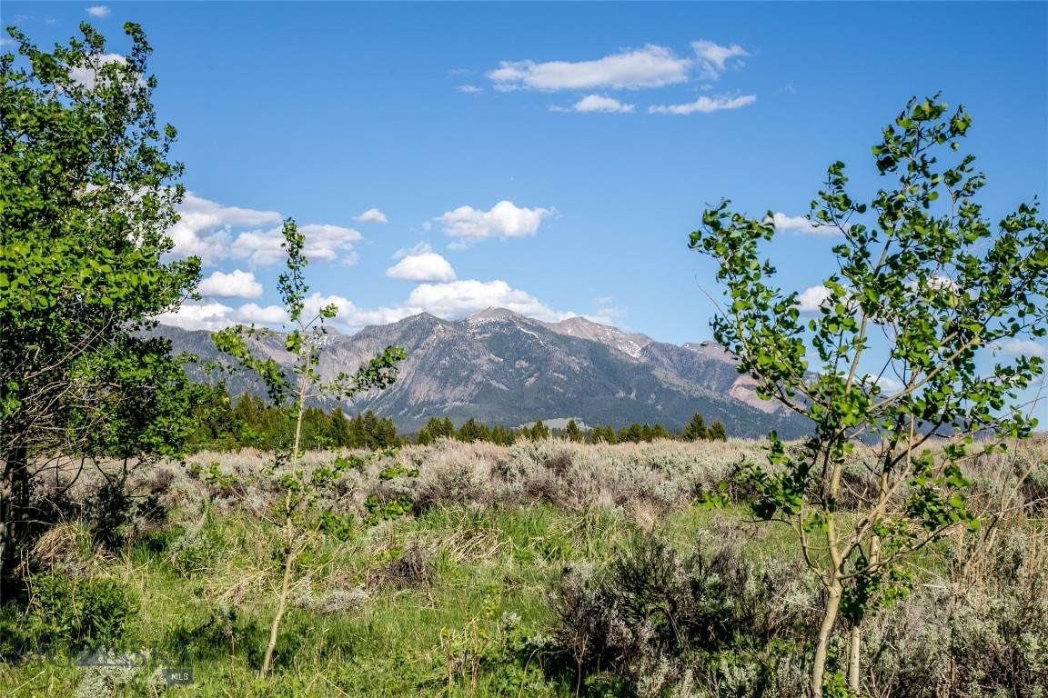 https://bt-photos.global.ssl.fastly.net/montana/orig_boomver_1_403617-2.jpg