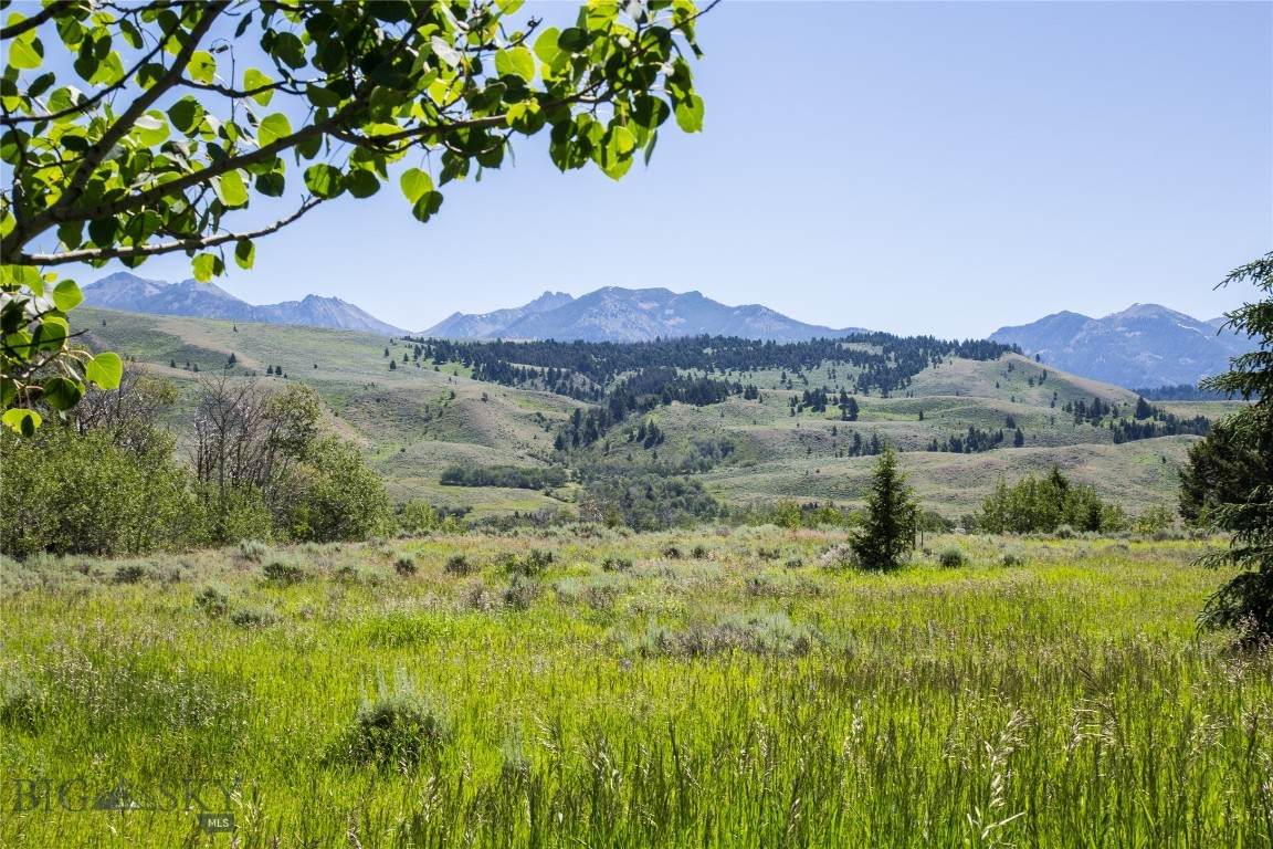 https://bt-photos.global.ssl.fastly.net/montana/orig_boomver_1_404831-2.jpg