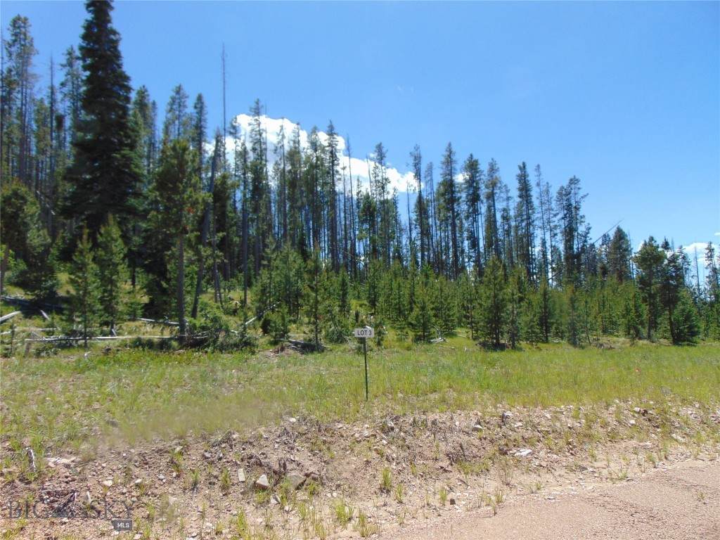 Nhn Silvantite Lane - Photo 1